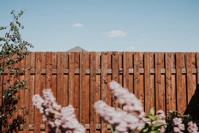 Land and property law - a boundary fence